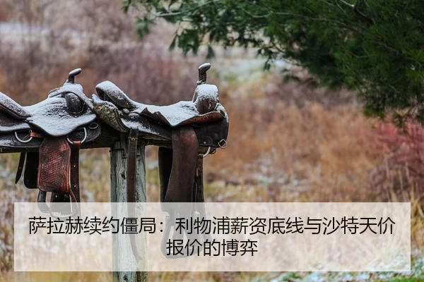 sa-la-he-xu-yue-jiang-ju-li-wu-pu-xin-zi-di-xian-yu-sha-te-tian-jia-bao-jia-de-bo-yi-1-113.jpg