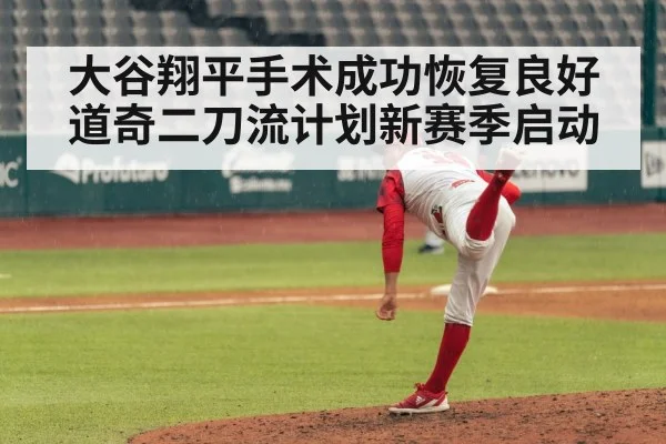 baseball pitcher pitching